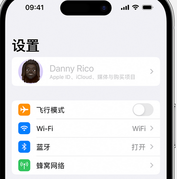 乐都appleID维修服务iPhone设置中Apple ID显示为灰色无法使用 