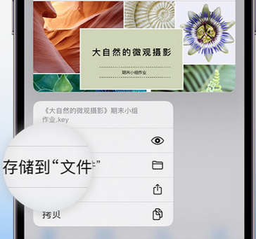 乐都apple维修中心分享iPhone文件应用中存储和找到下载文件