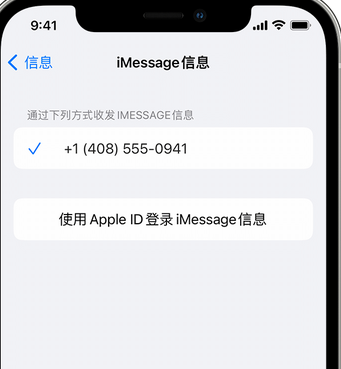 乐都apple维修iPhone上无法正常发送iMessage信息 