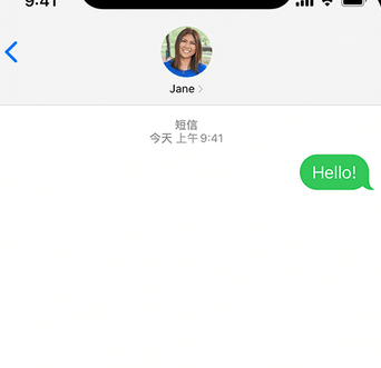 乐都apple维修iPhone上无法正常发送iMessage信息