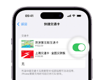 乐都apple维修点分享iPhone上更换Apple Pay快捷交通卡手绘卡面 