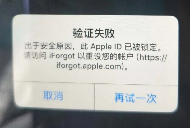 乐都iPhone维修分享iPhone上正常登录或使用AppleID怎么办 