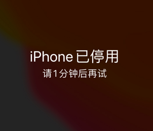 乐都苹果手机维修分享:iPhone 显示“不可用”或“已停用”怎么办？还能保留数据吗？ 