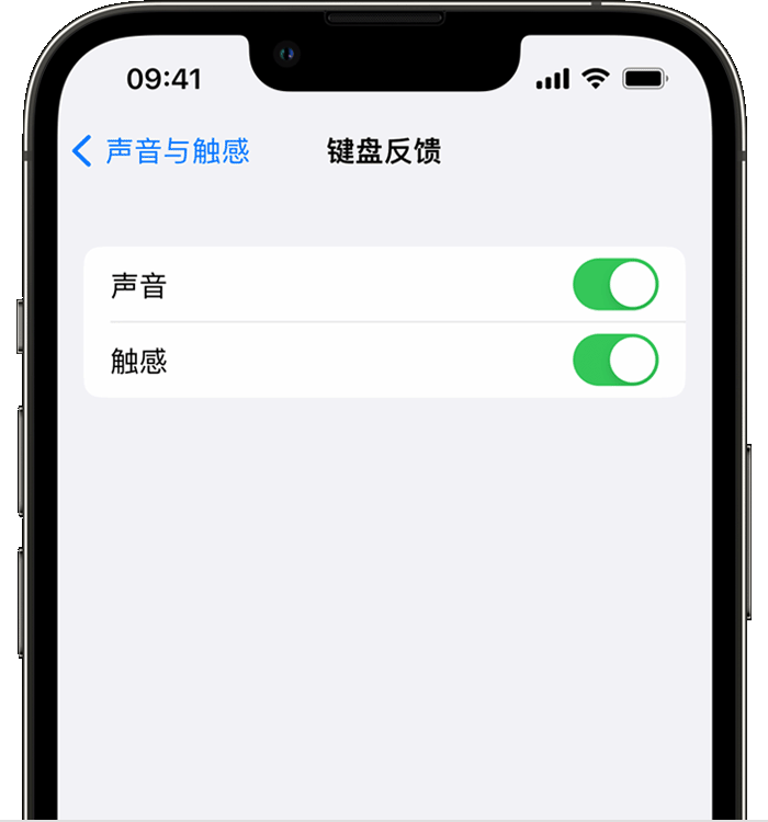 乐都苹果14维修店分享如何在 iPhone 14 机型中使用触感键盘 