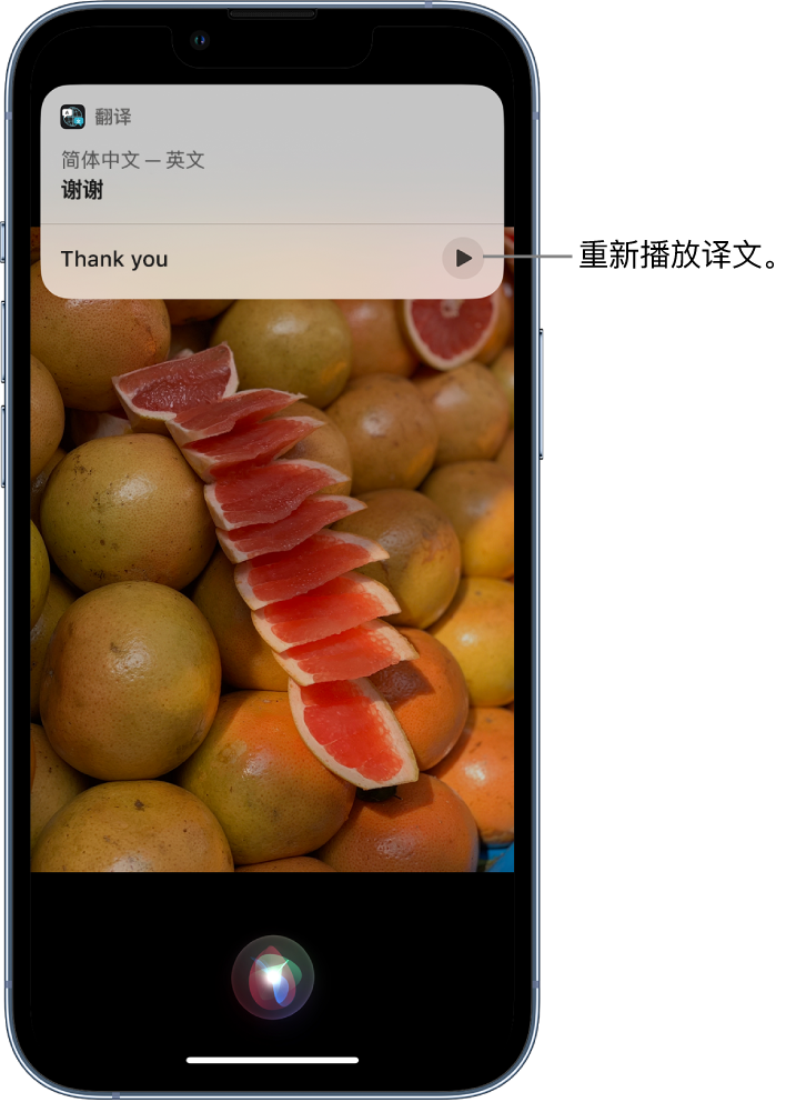 乐都苹果14维修分享 iPhone 14 机型中使用 Siri：了解 Siri 能帮你做什么 