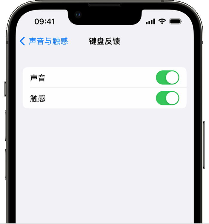 乐都苹果14维修分享iPhone 14 系列机型如何开启键盘声音或触感反馈 