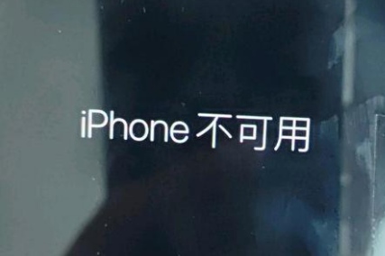 乐都苹果服务网点分享锁屏界面显示“iPhone 不可用”如何解决 