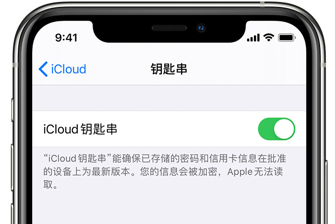 乐都苹果手机维修分享在 iPhone 上开启 iCloud 钥匙串之后会储存哪些信息 