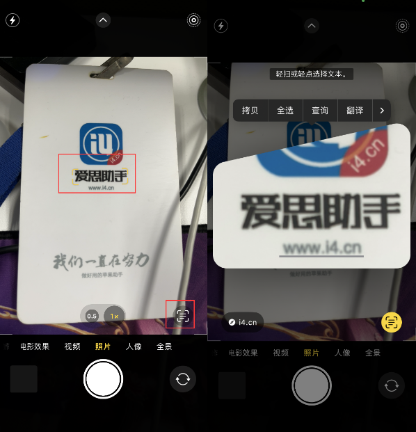 乐都苹果手机维修分享升级iOS 16后如何通过相机翻译文本 