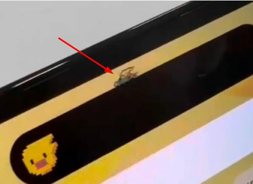 乐都苹果14维修分享iPhone 14 Pro Max灵动岛怎么养宠物 