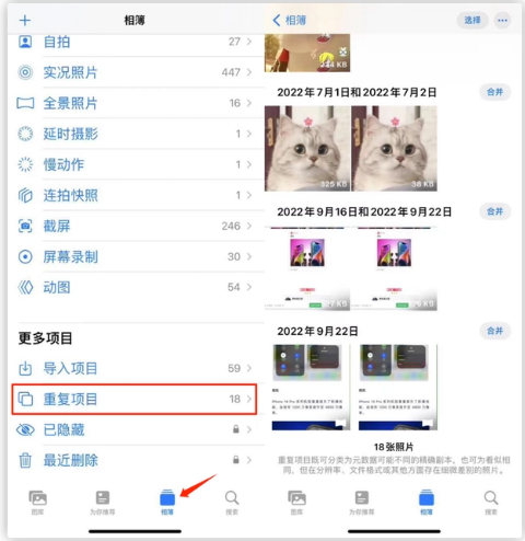 乐都苹果手机维修分享iOS 16 中相册重复项目功能使用方法 