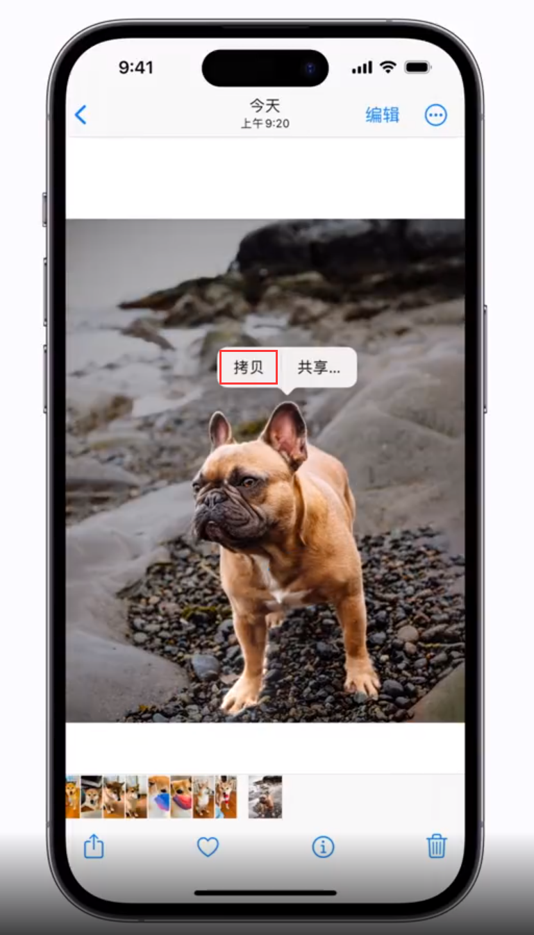 乐都苹果手机维修分享 iOS 16 自带一键抠图功能 