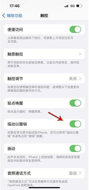 乐都苹果手机维修分享iPhone手机如何设置摇一摇删除文字 